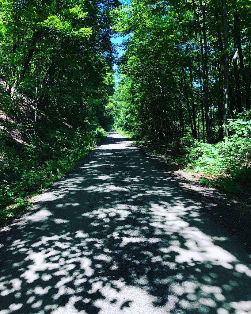 The Escarpment Trail
