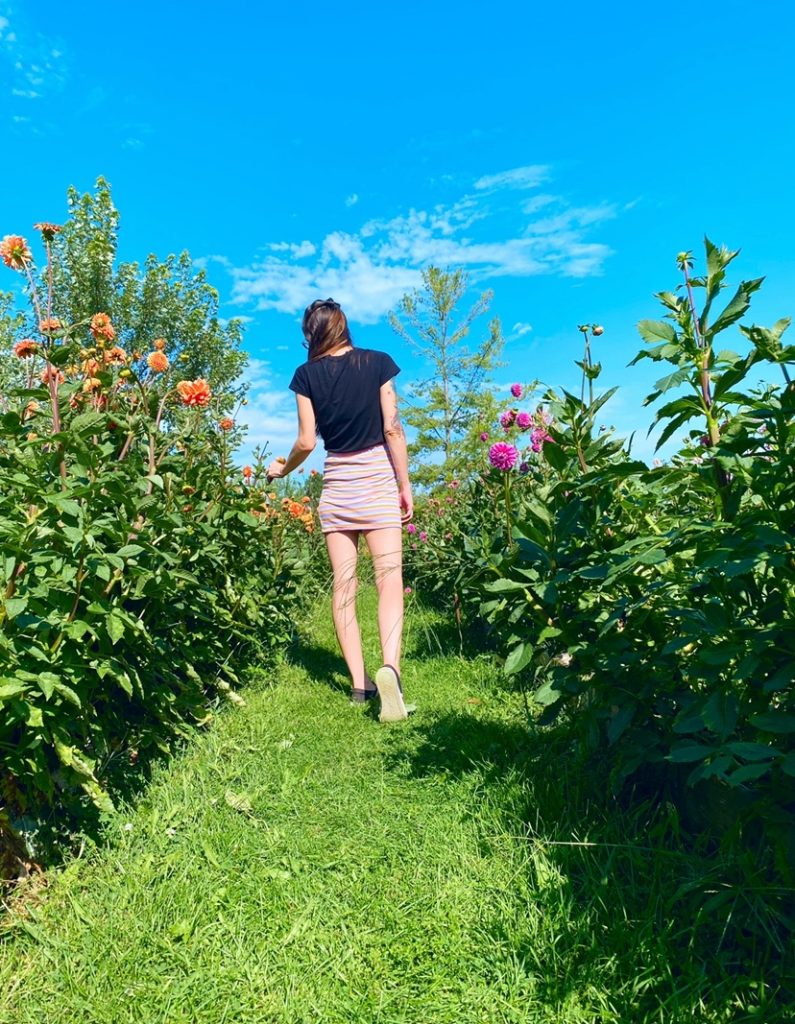 Exploring Windecker Woods Flower Farm in Cayuga, Ontario