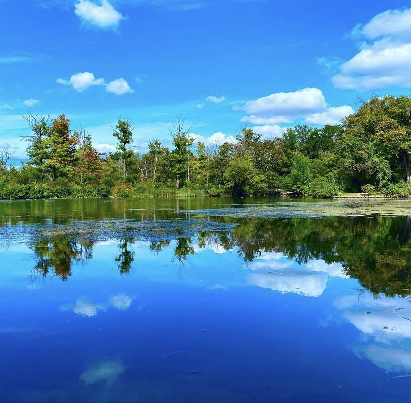 Exploring Dufferin Islands Nature Area | Niagara Falls, Ontario