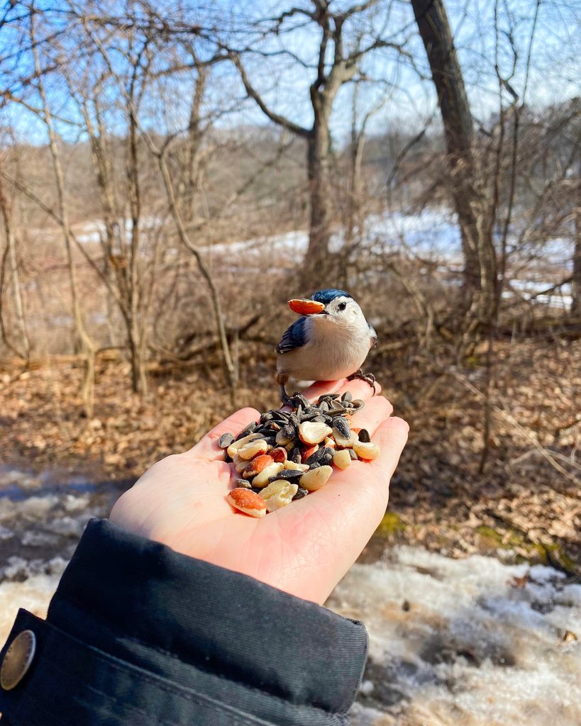 Exploring Bridle Trail |Cherry Hill Gate, Burlington